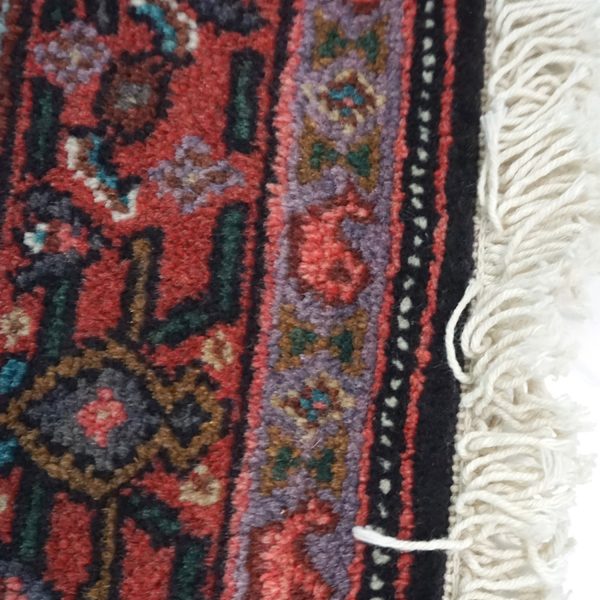 Senne Kurdistan – Bild 5