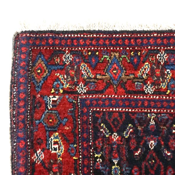 Senne Turkas – Bild 4