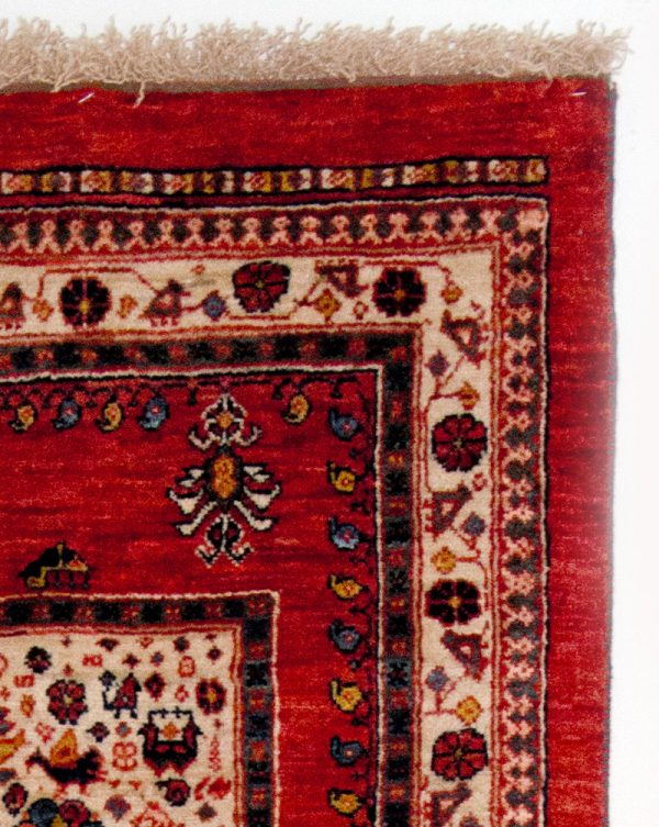 Ghashgai (Fein) – Bild 3